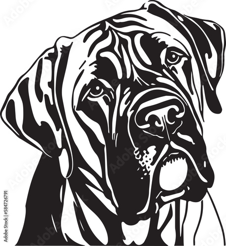 Cane Corso dog face isolated on a white background, SVG, Vector, Illustration.	