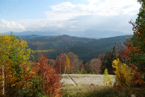 Beautiful autumn forest in Carpathian mountains photo