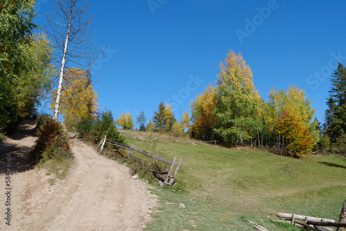 Beautiful autumn forest in Carpathian mountains photo