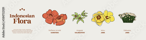 Isolated Hand drawn various Indonesian plants illustration