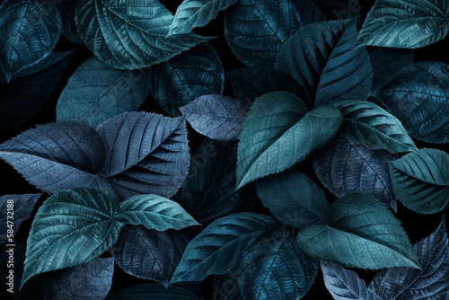 Bluish plant leaves textured background