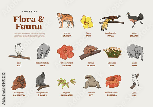 Isolated Hand drawn various Indonesian flora and fauna illustration