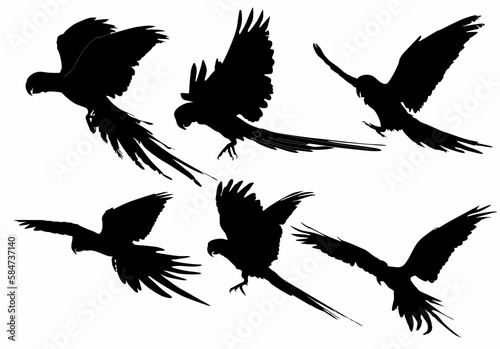 Vector parrot silhouette of amazon jungle isolated on white background, logo, icon