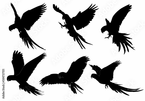 Vector parrot silhouette of amazon jungle isolated on white background, logo, icon