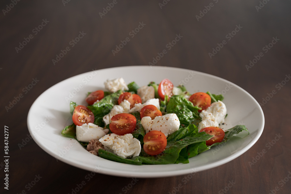 Salad with canned tuna, mozzarella and tomatoes in white bowl Salad with canned tuna, mozzarella and tomatoes in white bowl