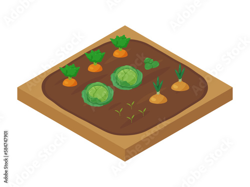 野菜を育てる畑のイラスト_アイソメトリック photo