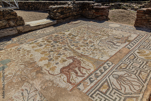 Floor mosaics at Heraclea Lyncestis ancient ruins near Bitola, North Macedonia photo