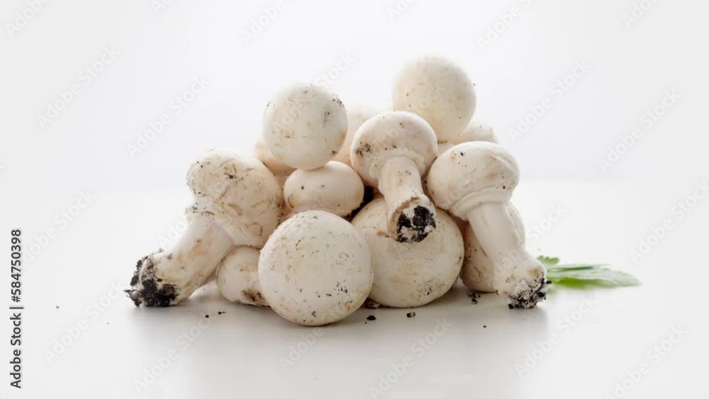 Champignon Mushrooms Rotation On White Background Champignon Mushrooms Rotation On White Background
