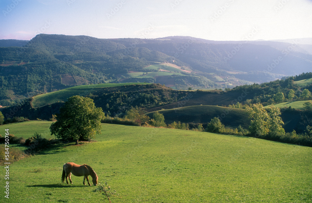 Causse Mejan, Parc naturel régional des Grands Causses, 12, Aveyron, France