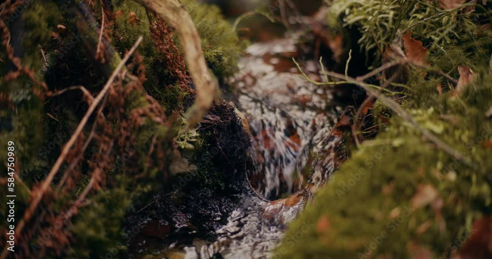 Fresh waterfall nestled in heart mountains Fresh waterfall nestled in heart mountains