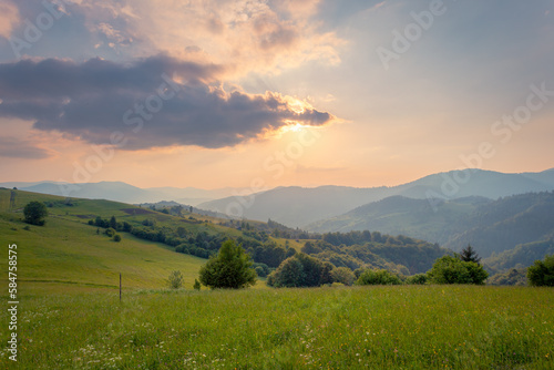 Picturesque scenery of summer green hills under a gorgeous sunset sky with clouds. Wildflowers on a green grass meadow.