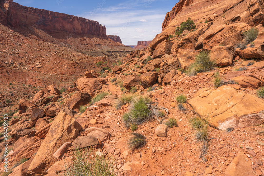 Fototapeta premium hiking the syncline loop trail in island in the sky district of canyonlands national park, utah, usa