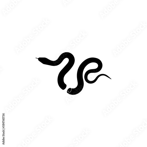 vector illustration of snake in half