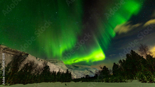 a magical moment - northern lights