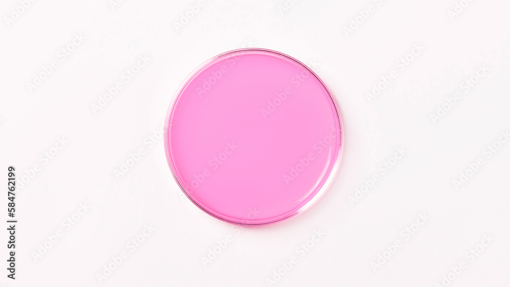 Petri dish with pink liquid. On a white, light background. View from above.