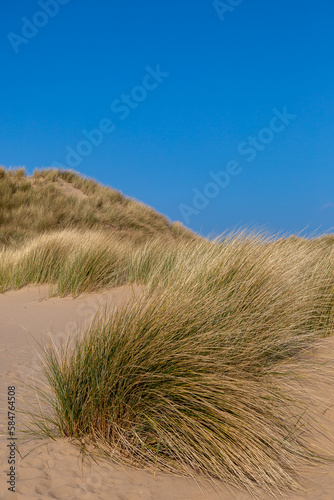 A blue sky over marram grass covered sand dunes