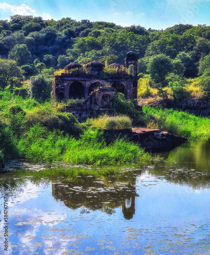 Photography A ruined moaque in ranthambhore fort, Sawai Madhopur, Rajasthan, India