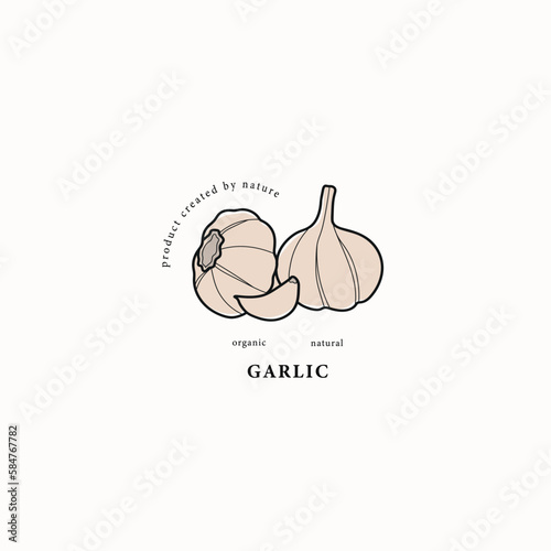 Line art garlic drawing. Outline logo	
