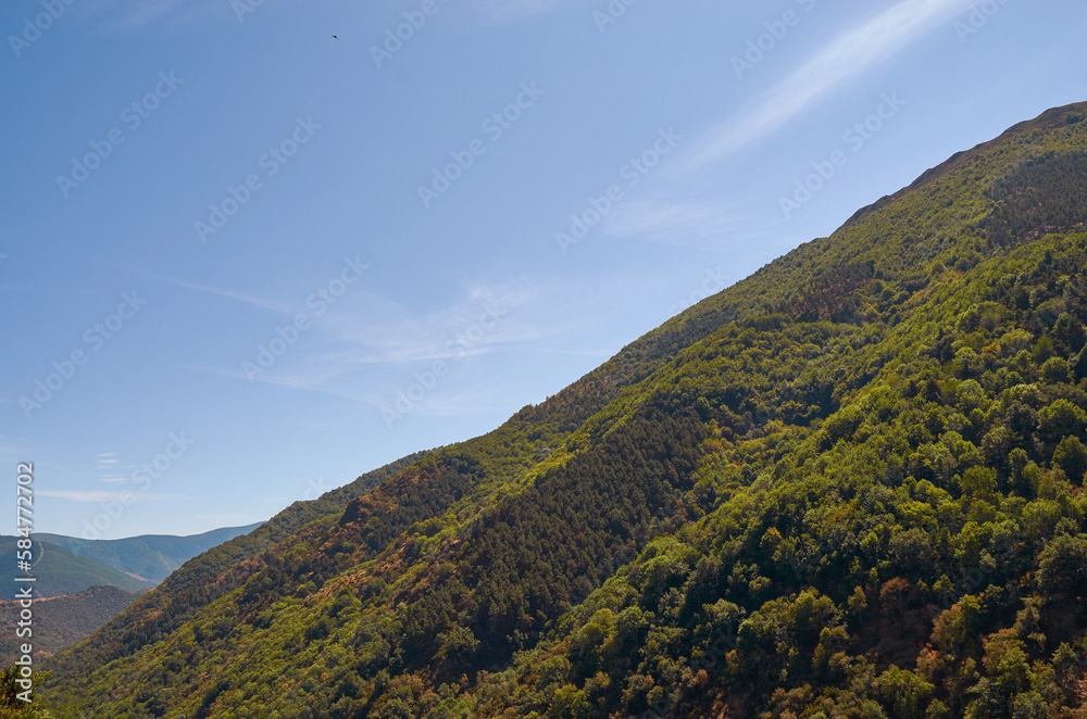 Landscape of mountains full of vegetation with blue skies