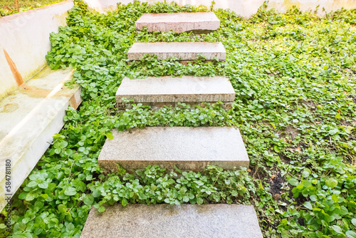 Curve walkway with stone tile on green grass in tropical garden.