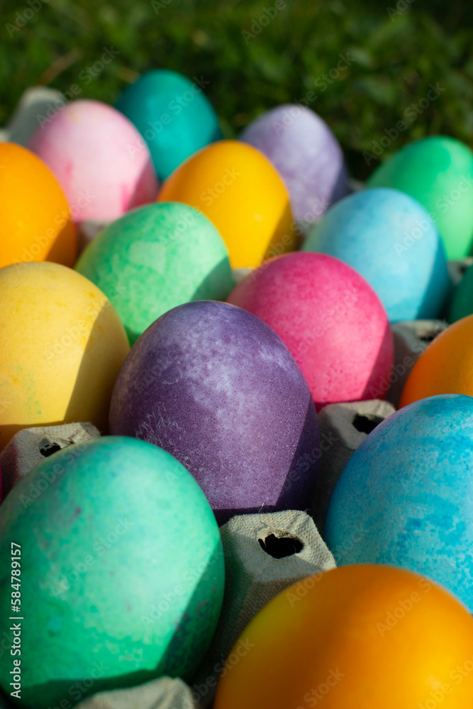 Happy Easter. Easter eggs on the grass in a tray on a sunny spring day - Easter decoration, banner, panorama, background with space for text. Happy Easter. Easter eggs on the grass in a tray on a sunny spring day - Easter decoration, banner, panorama, background with space for text.