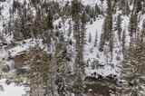 Snow Covered Landscape on the Firehole River in Yellowstone National Park in Winter