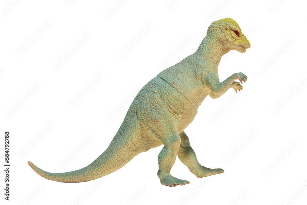 Fototapeta premium A dinosaur toy isolated. Pachycephalosaurus.