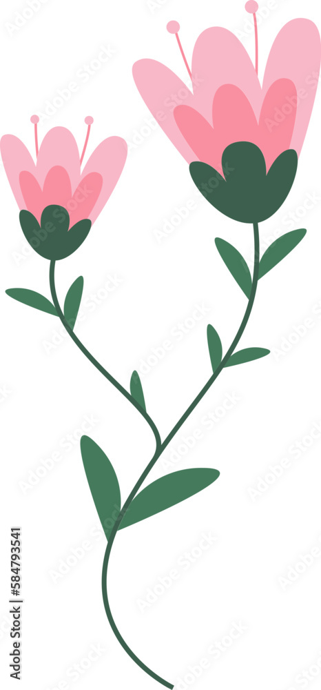 a flowering plant that belongs to the Liliaceae family and grows wild in the Pamir and mountainous regions, commonly called a tulip
