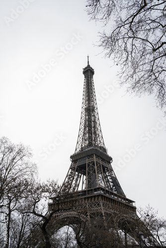 Fototapeta Naklejka Na Ścianę i Meble -  The Eiffel Tower in Paris, France in a monochromatic color
