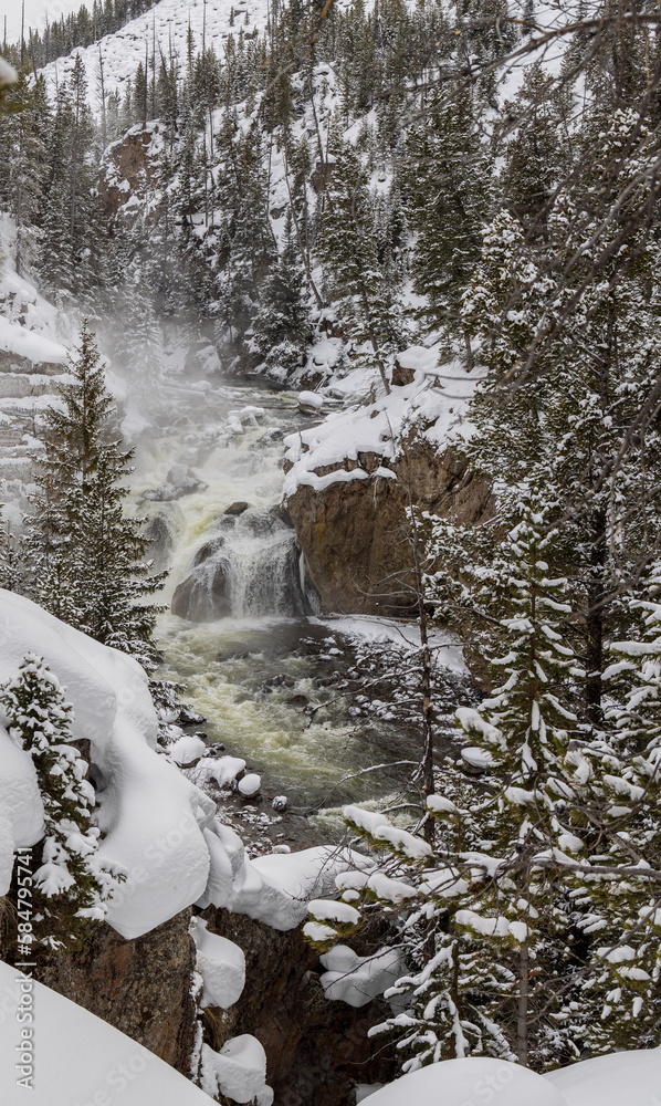 Snow Covered Landscape on the Firehole River in Yellowstone National Park in Winter - obrazy, fototapety, plakaty 