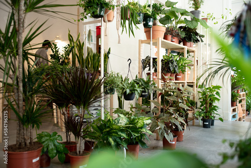 Plant shop with variety of articles for sale photo