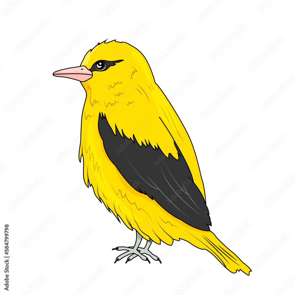 Oriole bird is yellow with black spots and pink beak. Vector stock illustration. Feathered. isolated. White background. - obrazy, fototapety, plakaty 