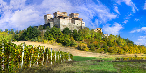 Scenic vineyards and medieval castles of Italy -  impressive Torrechiara (near Parma) Emilia-Romagna region