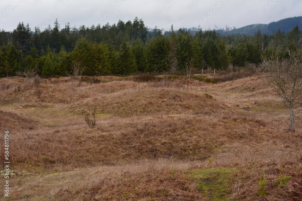 Mima Mounds Natural Area Preserve south of Olympia, Washington