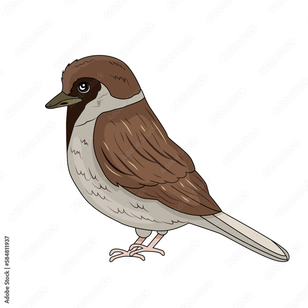 Sparrow brown in cartoon style. A feathered animal that lives in the forest. Nest. Vector stock illustration. isolated. White background. - obrazy, fototapety, plakaty 