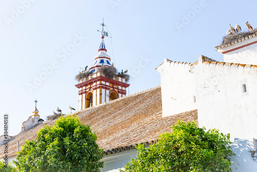 Storks on their nests at the bell tower of the Church of the Divino Salvador in Castilblanco de los Arroyos, province of Seville, Andalusia, Spain photo