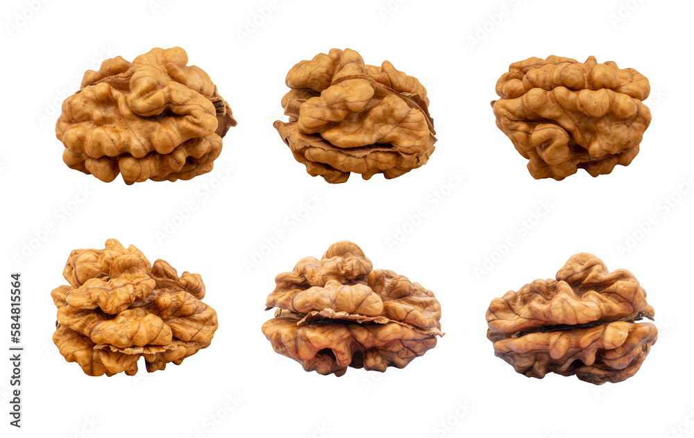 Collection of walnut kernels isolated on transparent background. PNG file. Collection of walnut kernels isolated on transparent background. PNG file.