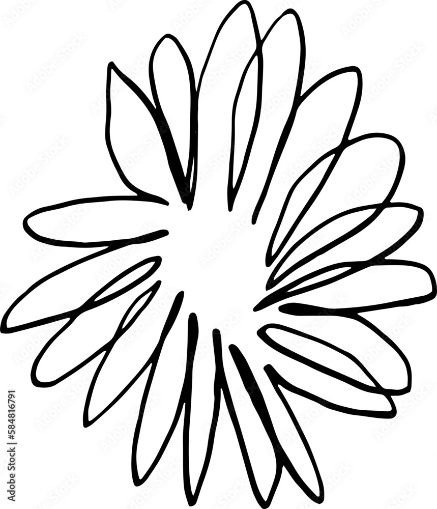 Spiral curls in the form of a sun or flower Spiral curls in the form of a sun or flower