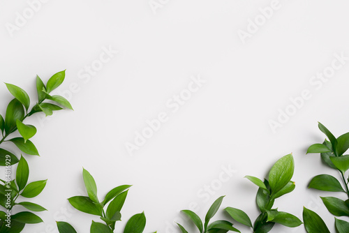 Natural green branches with leaves on empty light grey background with copy space. Trendy layout with fresh plant. Eco spring flat lay. Top view, copy space. Organic template. Minimal composition.