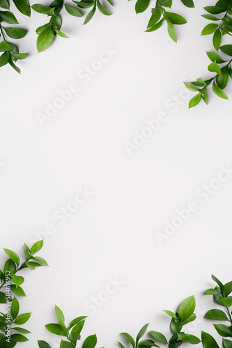Natural green branches with leaves on empty light grey background with copy space. Trendy layout with fresh plant. Eco spring concept. Skin care product advertising. Top view. Minimal composition. photo
