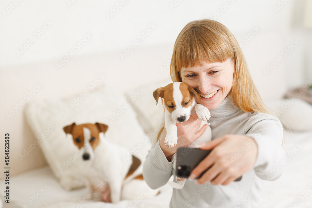 Young woman with her cute Jack Russell Terrier in a chair at home. white pet Young woman with her cute Jack Russell Terrier in a chair at home. white pet