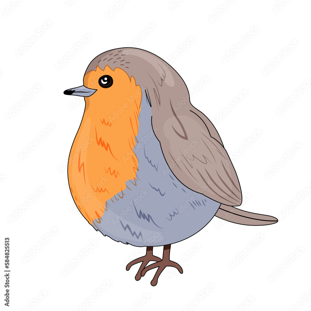Robin bird in orange and blue color in cartoon style. A feathered animal that lives in the forest. Nest. Vector stock illustration. isolated. White background. hand drawn - obrazy, fototapety, plakaty 