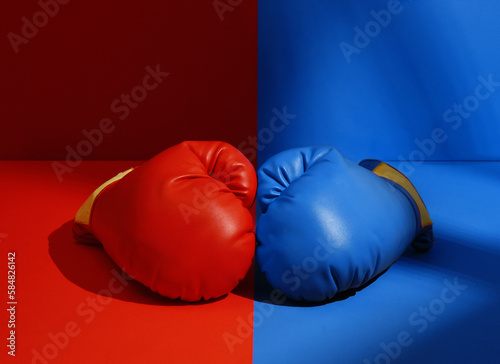 Political Boxing Gloves Divided photo