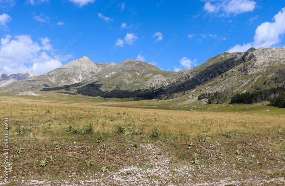 View of a mountain landscape with meadow, trees, steppe and buildings in Abruzzo in summer in Italy View of a mountain landscape with meadow, trees, steppe and buildings in Abruzzo in summer in Italy
