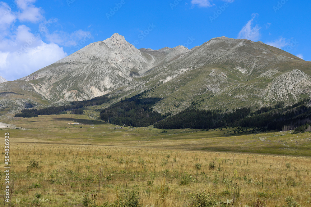View of a mountain landscape with meadow, trees, steppe and buildings in Abruzzo in summer in Italy