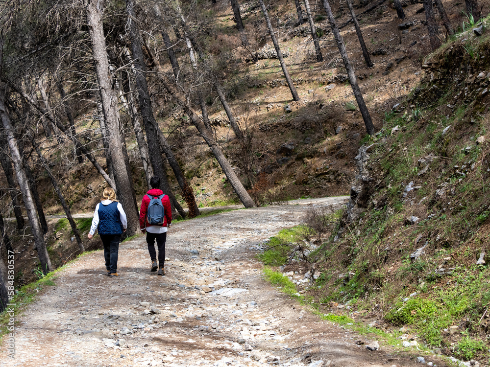 Young couple walking in the mountain with forest