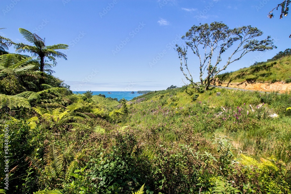 péninsule de Coromandel