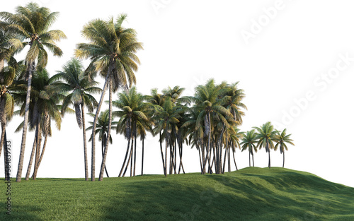 Different level lawns and coconut trees on a transparent background.