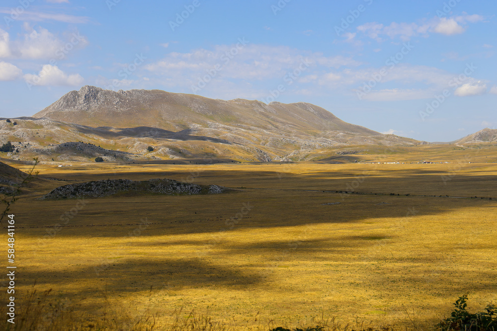 View of a mountain landscape with meadow, trees, and steppe in Abruzzo in summer in Italy