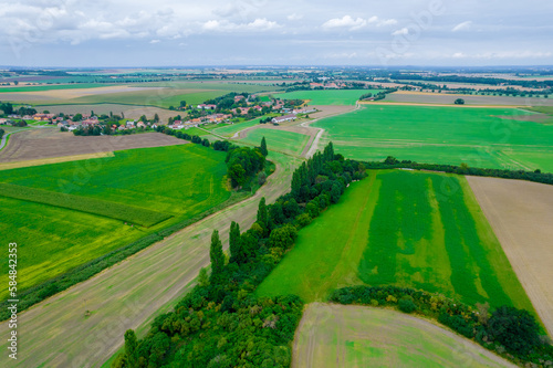 Top view of the countryside, green fields with various crops, agribusiness. Cultivation of cereals.